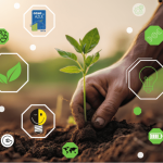Selos de Sustentabilidade: Um compromisso com práticas responsáveis 