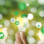 Selos de Sustentabilidade: Um compromisso com práticas responsáveis 